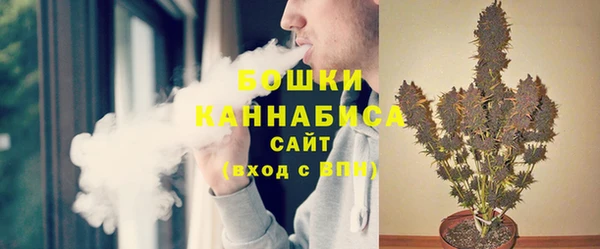 гашик Аркадак