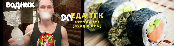 гашик Аркадак