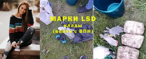 гашик Аркадак