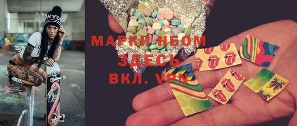 индика Армянск