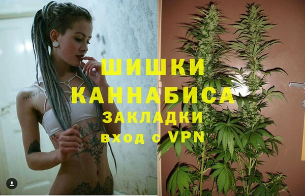 индика Армянск