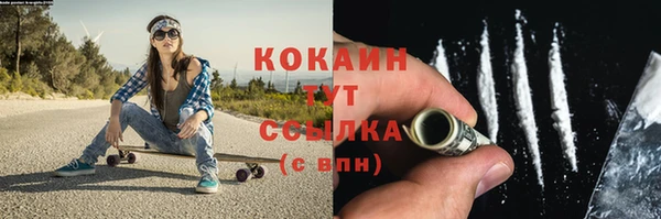 индика Армянск